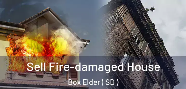  Sell Fire-damaged House Box Elder ( SD )