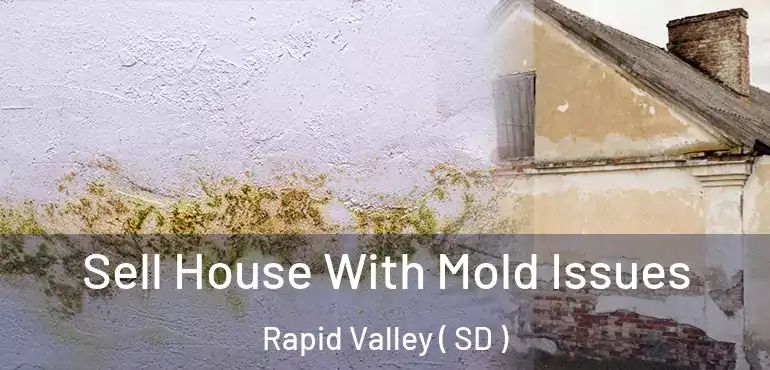  Sell House With Mold Issues Rapid Valley ( SD )
