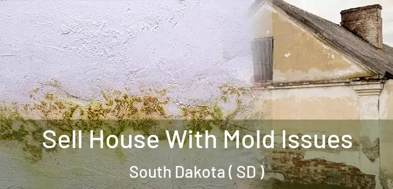  Sell House With Mold Issues South Dakota ( SD )